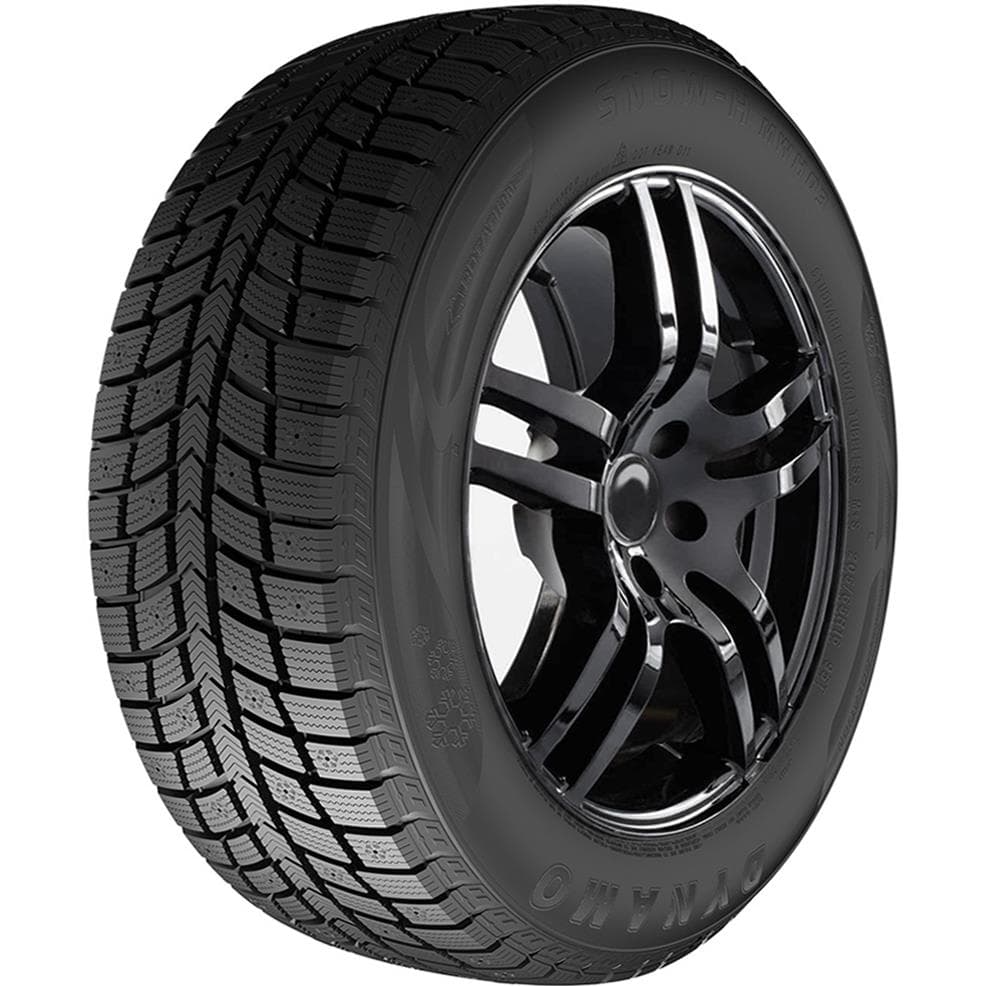 Dynamo Snow-H MWH03 225/45 R18 95T