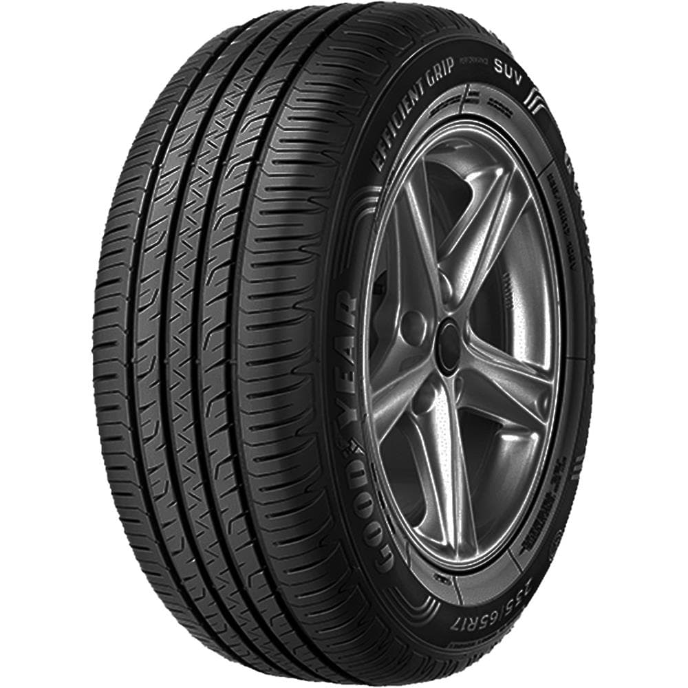 Goodyear Efficientgrip Performance Suv 245/45 R19 102V