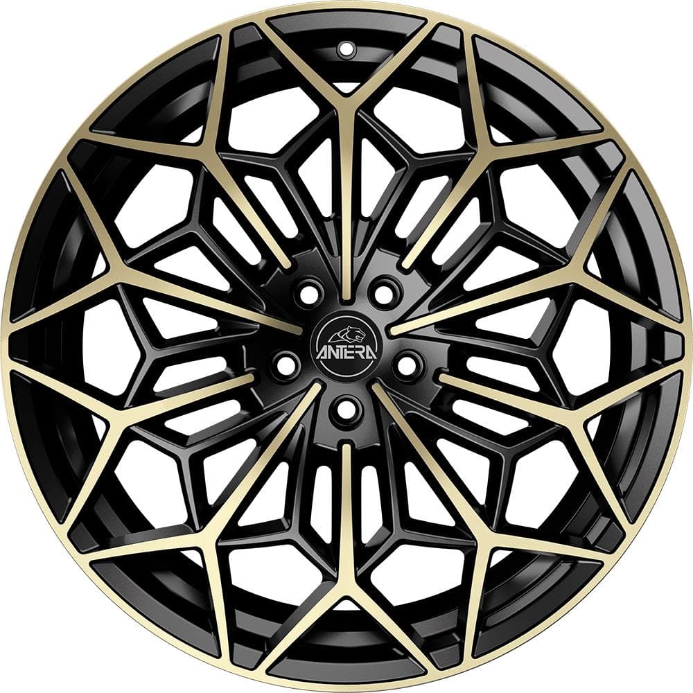 Antera A105 Piano Black Champagne 9.5x21