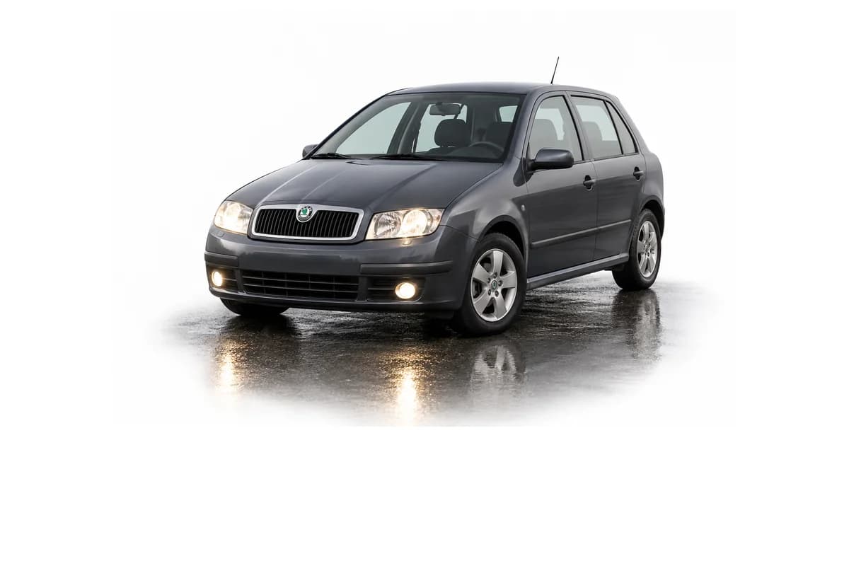 Škoda Fabia (6Y)