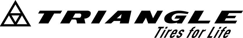 Triangle logo