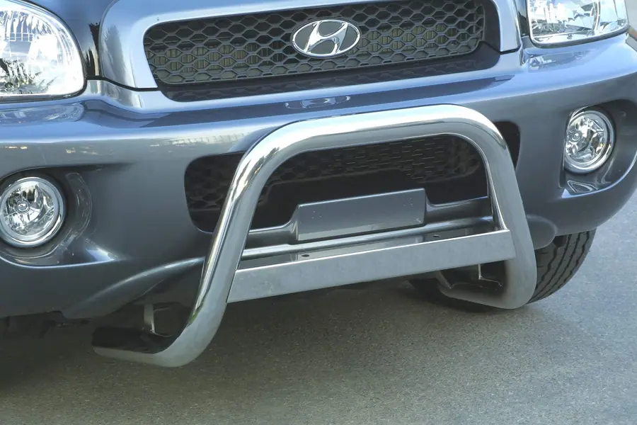 Medium bar ø63, mirror polished — Hyundai Santa Fe (2000–2005)